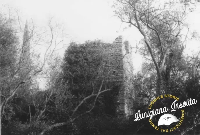 torre di Barbazzano