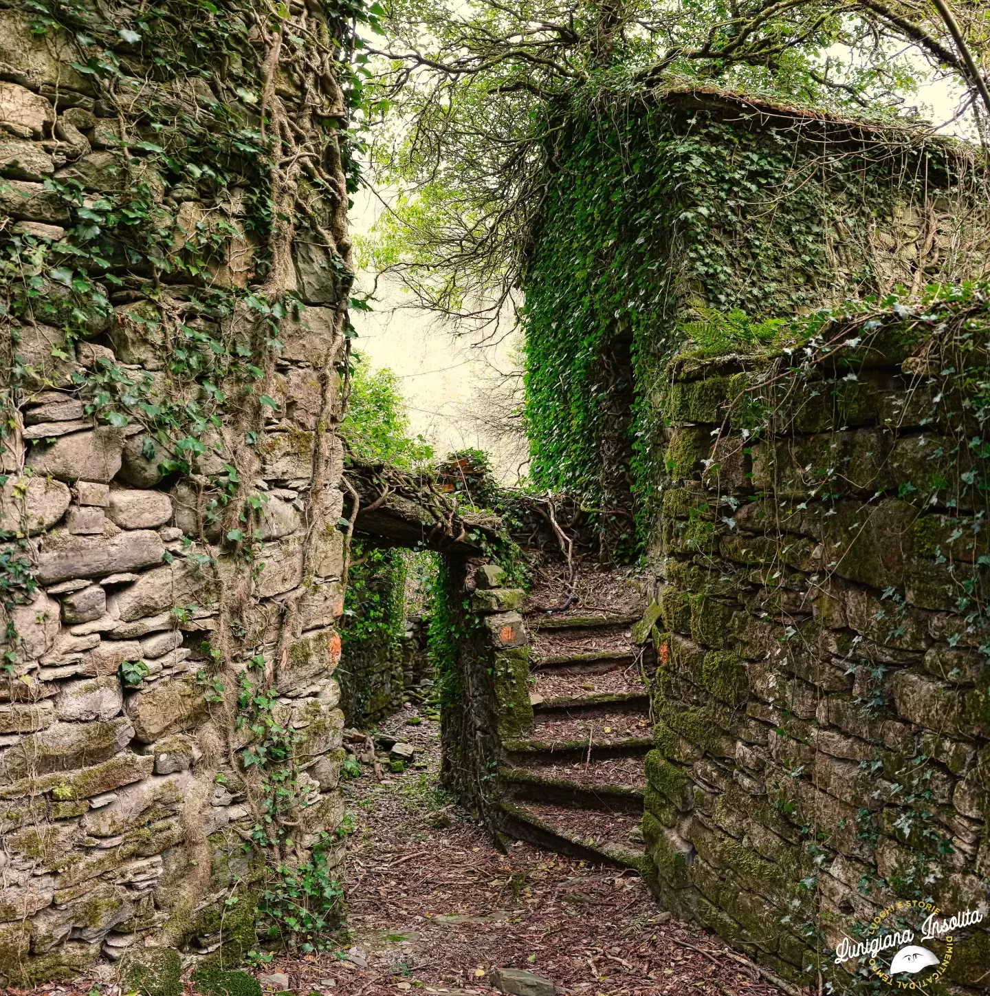 Mulino